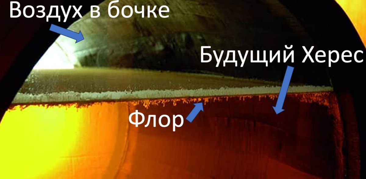Схема бочки с хересом: слой флора между вином и воздухом